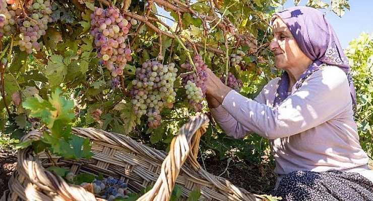 Gizemli Krallık Kommagene’nin Sırlarının İzinde Bir Keşif Şöleni