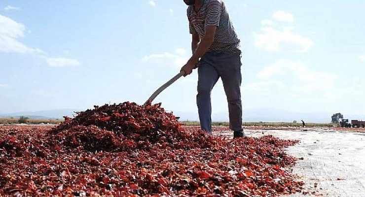 Mustafakemalpaşa Dünya Mutfaklarında