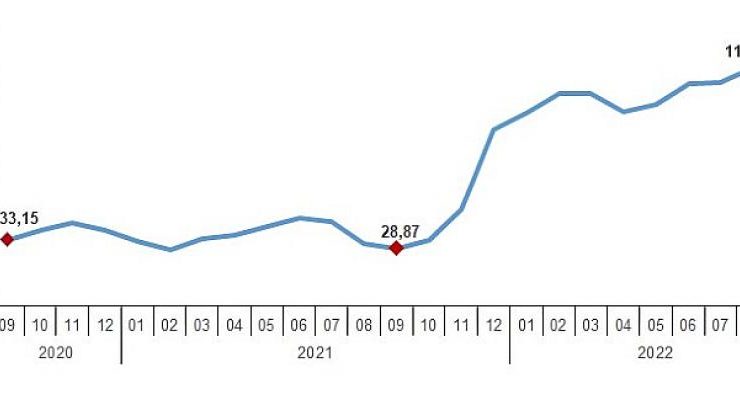 Yurt Dışı Üretici Fiyat Endeksi (YD-ÜFE) yıllık yüzde 117,04, aylık yüzde 0,67 arttı