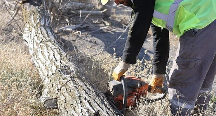 Budanan Ağaçlar İhtiyaç Sahiplerine Yakacak Oluyor