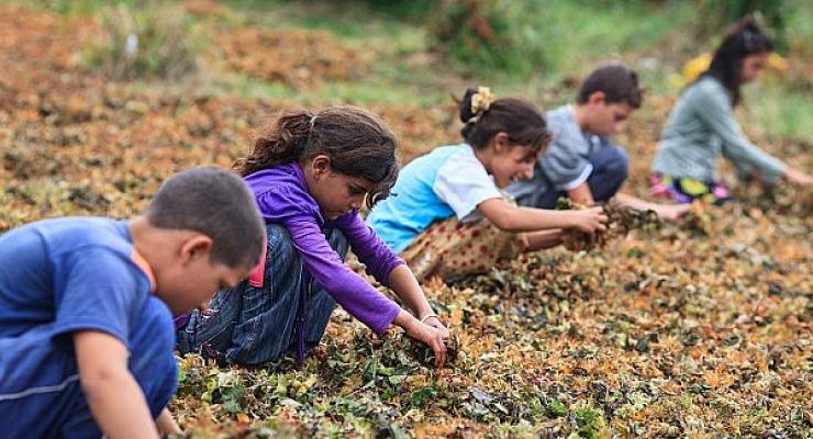 Hayata Destek Derneği: Çocuklar yoksulluk döngüsünden çıksın