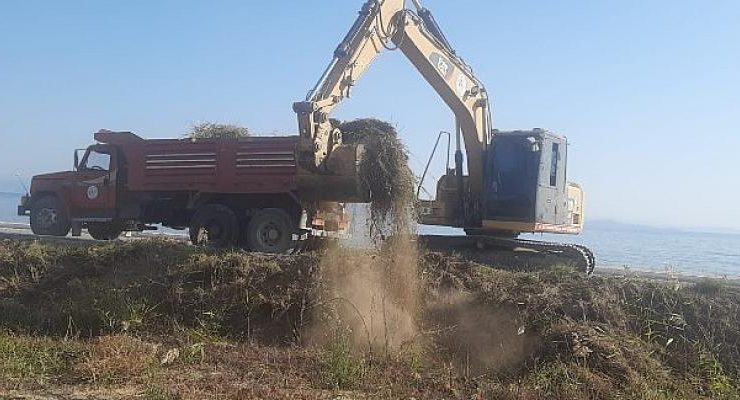 Mevsimlik Bakım ve Budama Çalışmaları Devam Ediyor