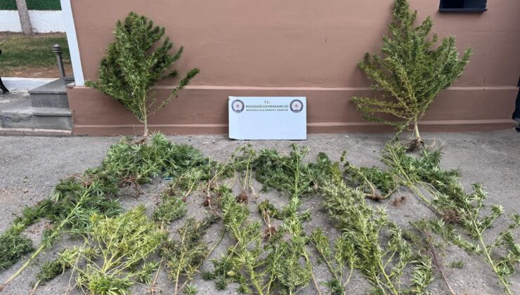 Mardin’de Uyuşturucu Operasyonu: 3 Şüpheli Yakalandı