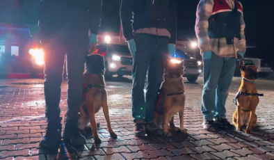 İstanbul Merkezli 20 İlde Dev Dolandırıcılık Operasyonu: 73 Gözaltı, 50 Milyon TL’lik Vurgun