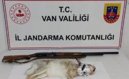 Van’da Kaçak Tavşan Avına 29 Bin TL Ceza