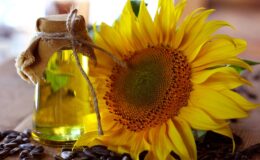 Türkiye’den Ayçiçeği Yağı İhracatı: İlk Çeyrekte 316 Milyon Dolarlık Gelir