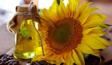 Türkiye’den Ayçiçeği Yağı İhracatı: İlk Çeyrekte 316 Milyon Dolarlık Gelir