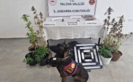 Yalova’da Evini Uyuşturucu Seralarına Çeviren Şüpheli Yakalandı: İklimlendirme Sistemi Kurmuş