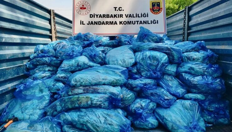 Diyarbakır’da 3 Ton Sağlıksız Hayvansal İç Yağ Ele Geçirildi